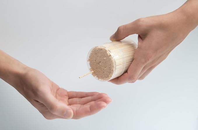 Traditional Single Point Wooden Toothpicks Made from Bamboo, Bulk Pack (500), -1 Container (500)