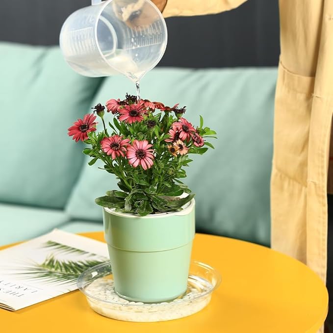 30 Packs 8" Clear Plant Saucers for Indoor Outdoor Use, Heavy Duty Plastic Plant Trays for Planters, Bulk Flower Pot Drip Trays to Catch Water, 4 to 20 Inch, Round Transparent