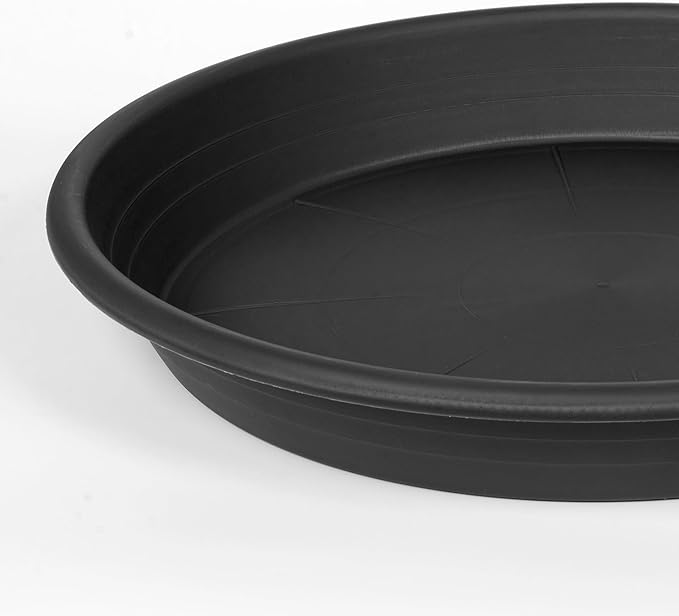 Grjoprt 6 Pack Plant Saucer 10 inch, Heavy Duty Plastic Plant Saucers 10 inch, Durable Plant Tray for Pots, Flower Saucers for Indoors, Plant Pot Saucers, Trays for Planter 8"/9"/10" (Black)