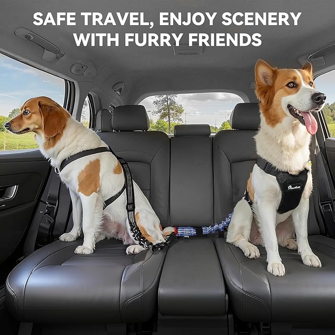Pawaboo 2Pack Dog Seatbelt for Car, 3-in-1 Dog Car Seat Belt, Shockproof Dogs Tether with Buckle & Hook Latch, Adjustable Reflective Dogs Cars Harness Leash with 360° Lockable Buckle, Indigo/Black