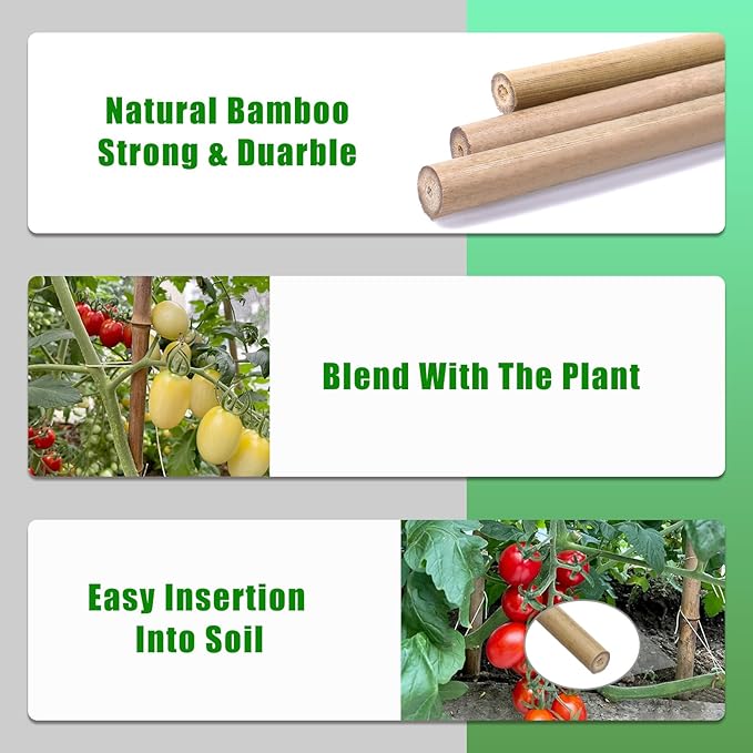 Plant Bamboo Post, 5 Feet, Bamboo Garden Stakes, 50 Pcs Bamboo Stakes, for Tomato, Beans, Vegetable and Flowers, Potted Plants, Indoor and Outdoor Climbing Plants