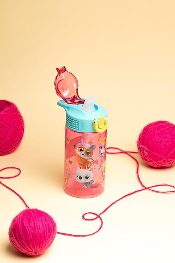Zak Designs Disney SuperKitties Sage Kids Water Bottle For School or Travel, 16oz Durable Plastic Water Bottle With Straw, Handle, and Leak-Proof, Pop-Up Spout Cover (Ginny, Sparks, Buddy, Bitsy)