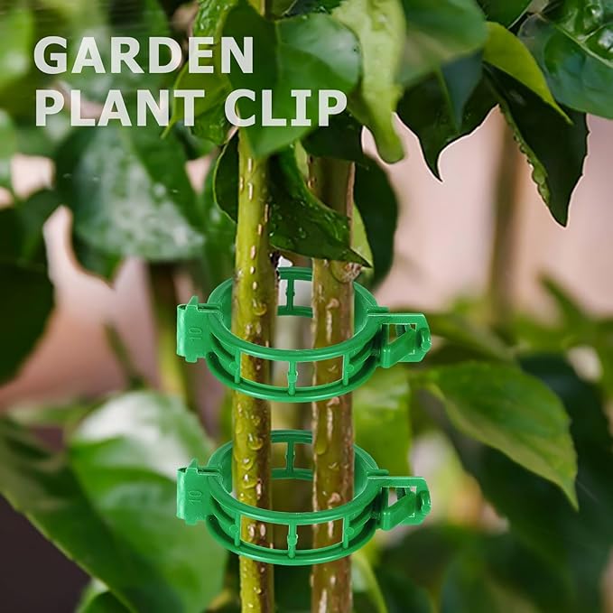 HFXXAD 400PCS Plant Support Clips, Tomato Clips, Plastic Garden Clips, Vine Clips for Tomato Cucumber Flower Squash Vine, 1.2” Inner Diameter, Prevent Tomatoes from Pinching or Falling Off(Green)
