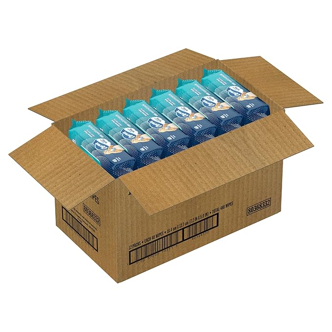 Charmin Flushable Wipes, 480 Total Wipes (24 Packs of 40)