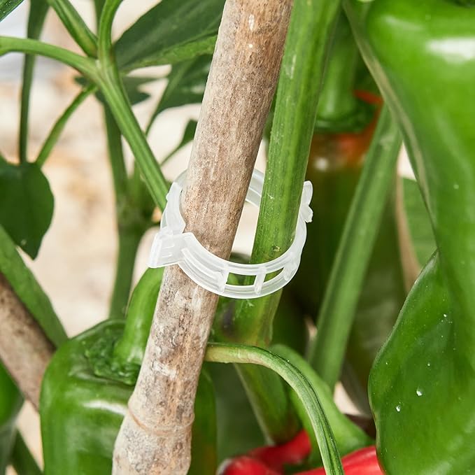 200 Pcs Plant Support Clips,Plastic Clips for Securing Plants,Tomato Vine Clips,Plant Fixing Clips,Garden Clips for Climbing Plants,Grape and Vine Vegetables (200, White)