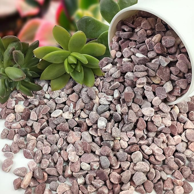 FANTIAN 2 lbs Succulent and Cactus Pebbles Gravel, 3/8 Inch Decorative Red River Rocks for Plants Indoor, Vases, Terrariums, Potted Top Dressing and Outdoor Decorative Stones