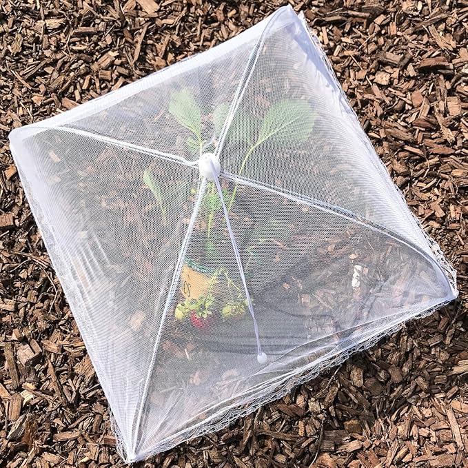 Simply Genius Pop-Up Mesh Food Cover Tent - 17 x 17 in, White, 3-Pack, Compact - Camping Essentials & Picnic Food Covers - Outdoor Party Essentials