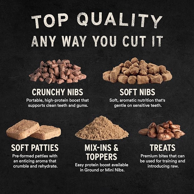 Vital Essentials Salmon Bites Cat Treats, 1.1 oz | Freeze-Dried Raw | Single Protein | Grain Free, Gluten Free, Filler Free