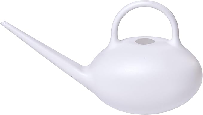 ZXJ Small Plastic Watering Can - 1/4 Gallon - for Home Plant Garden - White