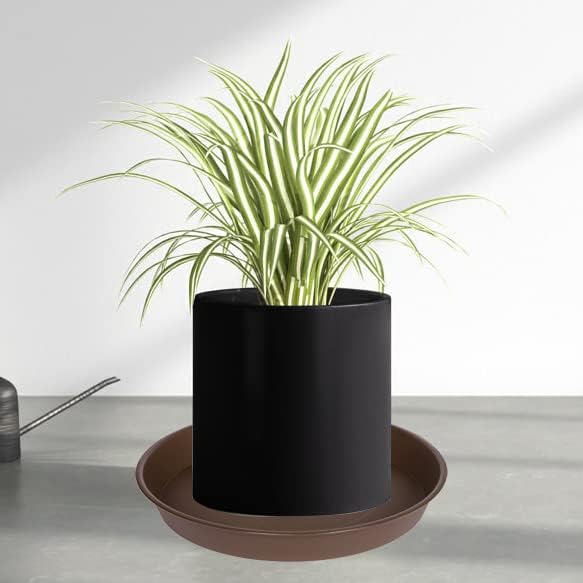 Bleuhome 6 Pack Plant Saucer Tray, 4 5 6 8 10 12 13 15 17 19 inch Plant Saucers, Heavy Duty Plastic Plant Drip Trays for Indoors, Flower Plant Water Tray, Plant Trays for Pots Base (6 inch, Chocolate)