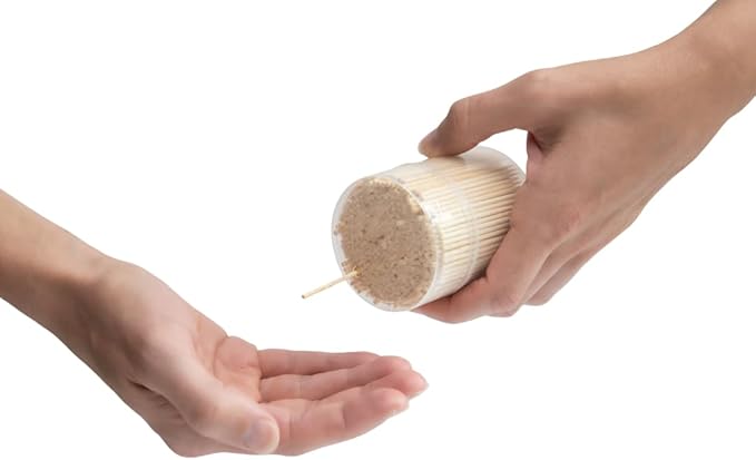 Traditional Single Point Wooden Toothpicks Made from Bamboo, Bulk Pack (500), -1 Container (500)