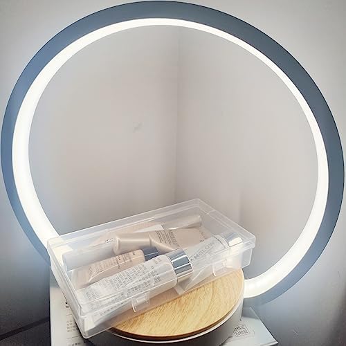 LJY 12 Pieces Rectangular Empty Mini Clear Plastic Organizer Storage Box Containers with Hinged Lids (6.1 x 3.3 x 1.2 inch, Transparent)