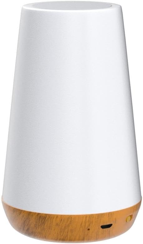 THAUSDAS Night Light, Dimmable Touch Lamp for Bedroom, Portable Table Bedside Lamp, 5 Brightness 13 RGB Colors, Night Lights for Baby Nursery Bathroom