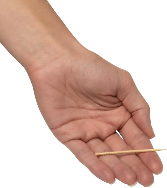 Traditional Single Point Wooden Toothpicks Made from Bamboo, Bulk Pack (500), -1 Container (500)