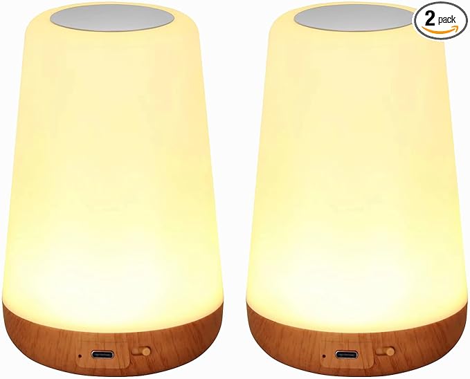 2-Pack LED Bedside Touch Desk Light,Small Night Light, Portable Desk Edge Light with 13 RGB Colors, Night Light for Bedroom/Nursery/Bathroom/Hallway/Outdoor/Living Room