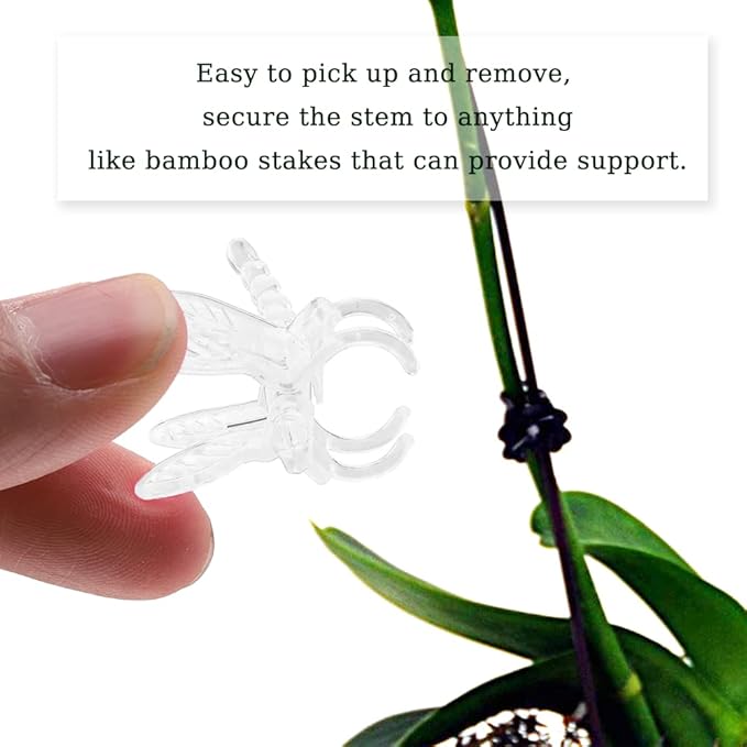 Watris Veiyi 100Pcs Plant Orchid Clips, Garden Plant Support Clip, Dragonfly Orchid Clips, Portable Cute Flower Vine Clips(Transparent)