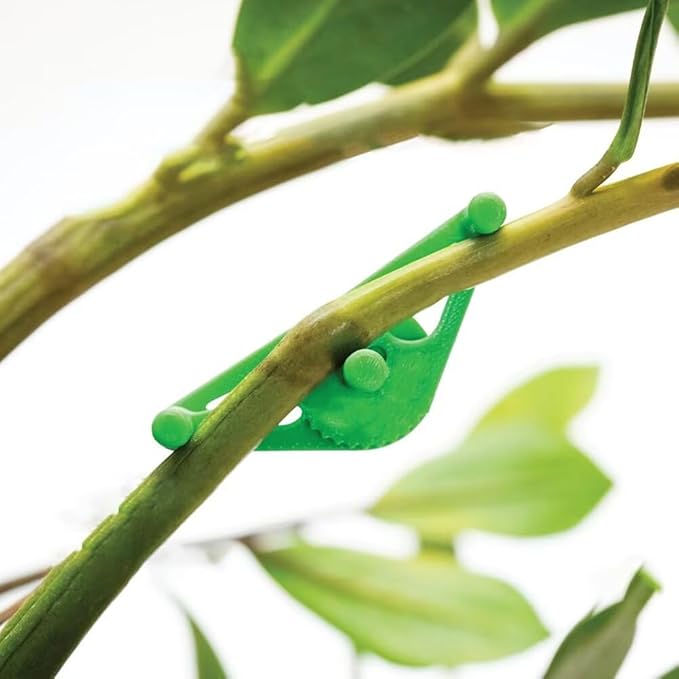 30Pcs Plant Stem Trainer Low Stress Training Clips Stem Bender Clips for Climbing Adjustable Bud Clips Plant Bender Plant Training Clips Plant Root Bender for Gardening Green