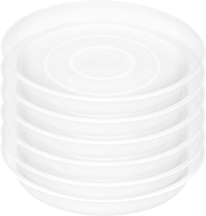 Bleuhome 6 Pack of 10 inch Plant Saucer Clear, Heavy Duty Plastic Plant Saucer 10 inch, Durable Plant Tray for Pots, Flower Plant Saucers for Indoors, Plant Trays for Planter 8"/9"/10" (10", Clear)