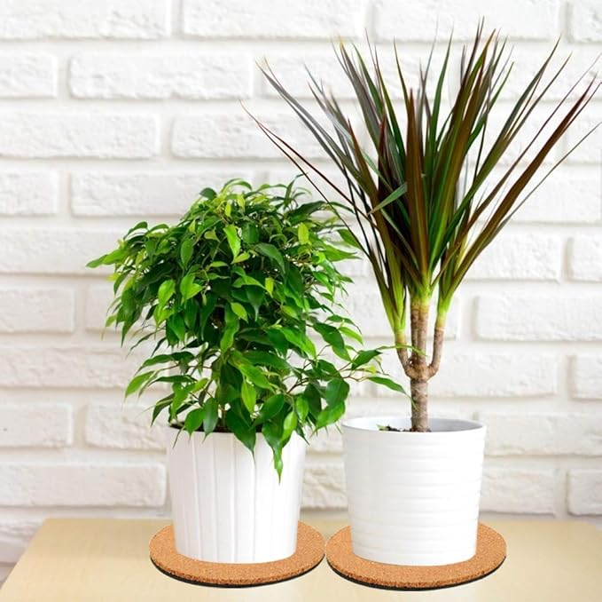 Venyat 6 Pieces Cork Plant Coasters, 6 Inch Cork Plant Mats, Cork Coaster for Planters, Plant Coasters for House Plants Indoors (Nude & Black)