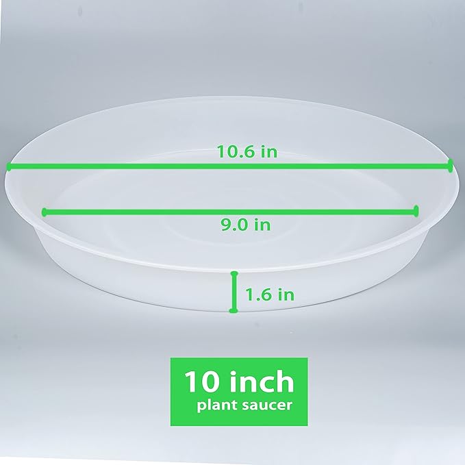 Bleuhome 6 Pack of 10 inch Plant Saucer Clear, Heavy Duty Plastic Plant Saucer 10 inch, Durable Plant Tray for Pots, Flower Plant Saucers for Indoors, Plant Trays for Planter 8"/9"/10" (10", Clear)
