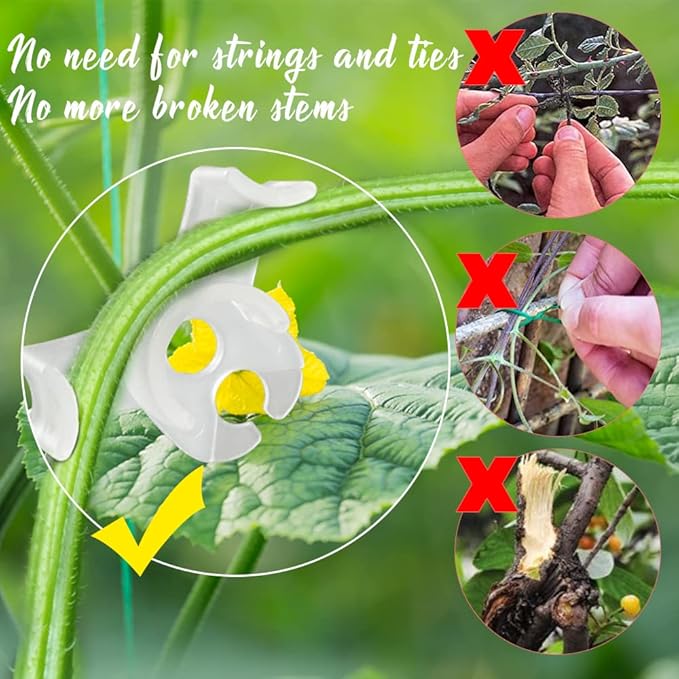 30 Pack Plant Bender Angle Adjustable Plant Training Clips Low Stress Training Clips 90 Degrees Plant Stem(Circle Style,Transparent)