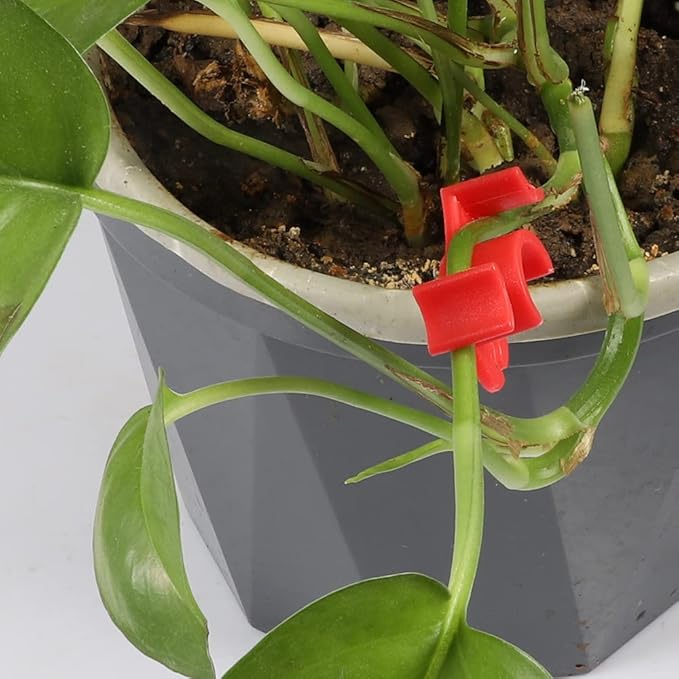 30 Pack Plant Bender Angle Adjustable Plant Training Clips Low Stress Training Clips 90 Degrees Plant Stem(Circle Style,Red)
