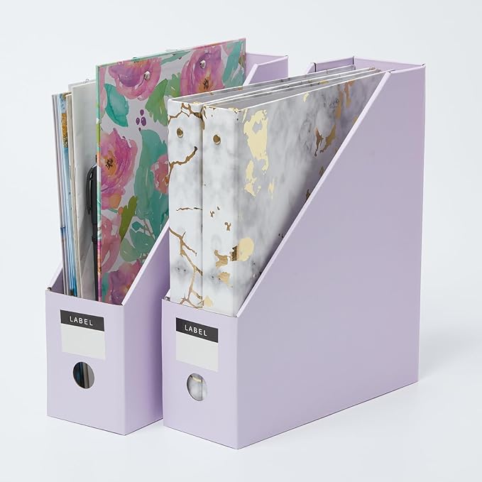 Y YOMA Cardboard File Magazine Holder, Pastel Color, 12 Pack Desktop Binder Holder with Labels Vertical File Storage Foldable Organizer Box, for Office Classroom Home Workspace