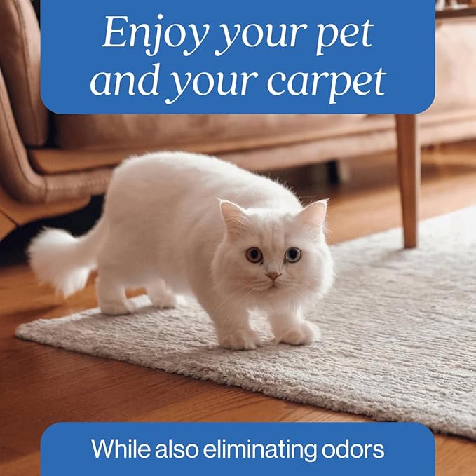 Oxy Pet Carpet Cleaner Spray | Pet Stain Remover for Pet Urine, Cat Pee, Dog Poop | Deep Spot Treating Action on Carpeting, Upholstery, Laundry, Pet Beds & More (128 Fl Oz)