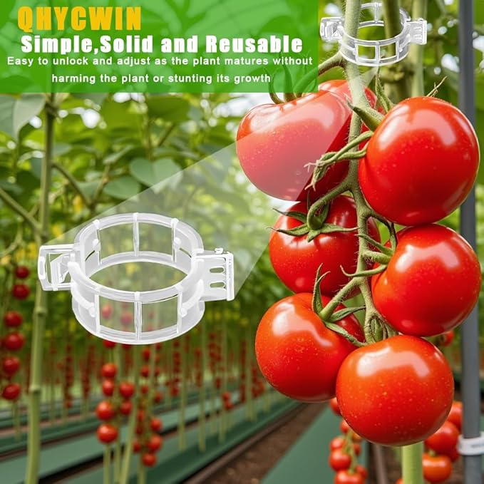 200 Pcs Plant Support Clips, 2 Types in 1 Pack, Plastic Garden Clips for Tomato, Grape, Cucumber, Vine Plants, Reusable Plant Clips for Climbing Plants (Green White)