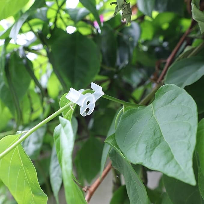 30 Pack Plant Bender Angle Adjustable Plant Training Clips Low Stress Training Clips 90 Degrees Plant Stem(Circle Style,Transparent)