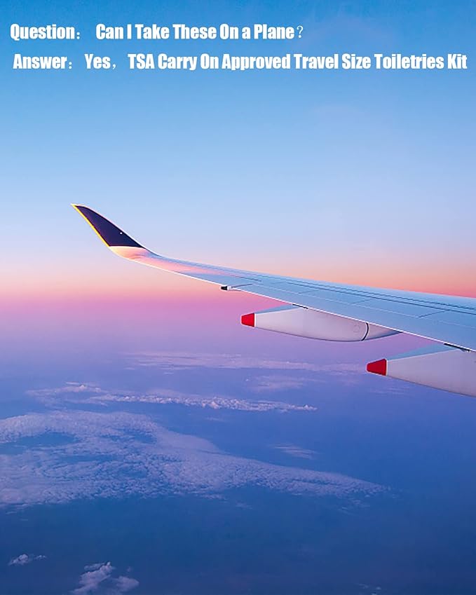 17 Pack Travel Pouches for Toiletries,TSA Approved,Portable Containers,Stand Up Pouch,Refillable Travel Accessories for Shampoo Conditioner Lotion Soap Liquids (A-17pcs)