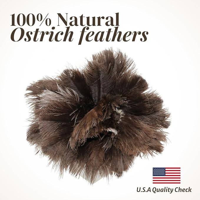 Ostrich Feather Duster with Wooden Handle 14" – Natural Reusable Feather Duster for Cleaning, Furniture & Shelves, Blinds, Ceiling Fan, Dusting Tool for Home, Office, Delicate Surfaces - 1 Pack
