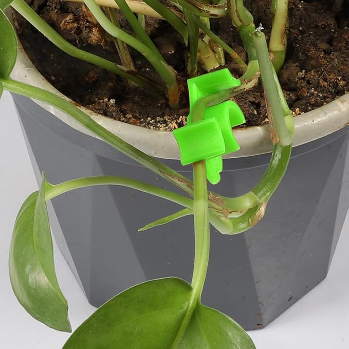 30 Pack Plant Bender Angle Adjustable Plant Training Clips Low Stress Training Clips 90 Degrees Plant Stem(Circle Style,Green)