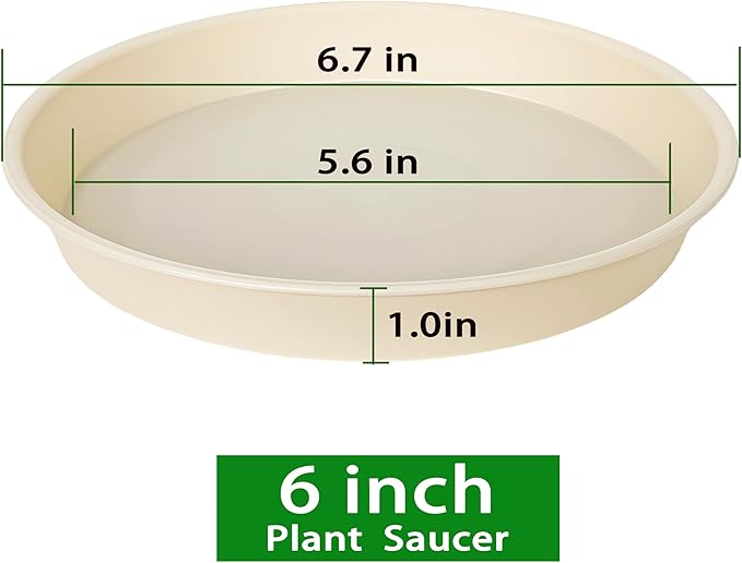 Bleuhome 6 Pack of 6 inch Plant Saucer Drainage Tray, 4 5 7 8 10 12 13 15 17 19 inch Plastic Plant Water Tray, Flower Saucers for Indoors, Plant Dishes for Pots Base (6 inch, Beige)