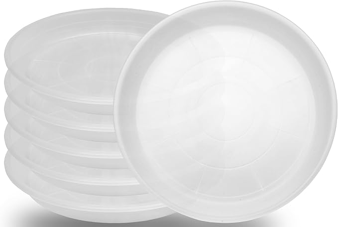Grjoprt 6 Pack Clear Plant Saucer 8 inch, Heavy Duty Plastic Plant Water Tray, Planter Saucers, Flower Pot Tray, Planter Tray, Bird Bath Bowls, Water Trays for Plant Pots 7"/8" (Clear)