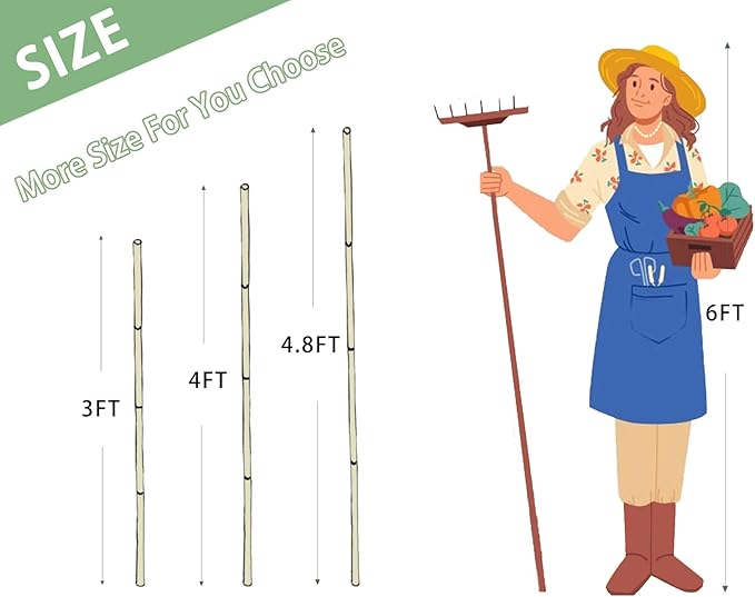 Plant Bamboo Post, 5 Feet, Bamboo Garden Stakes, 50 Pcs Bamboo Stakes, for Tomato, Beans, Vegetable and Flowers, Potted Plants, Indoor and Outdoor Climbing Plants
