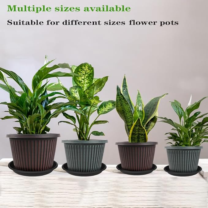 Grjoprt 6 Pack Plant Saucer 10 inch, Heavy Duty Plastic Plant Saucers 10 inch, Durable Plant Tray for Pots, Flower Saucers for Indoors, Plant Pot Saucers, Trays for Planter 8"/9"/10" (Black)