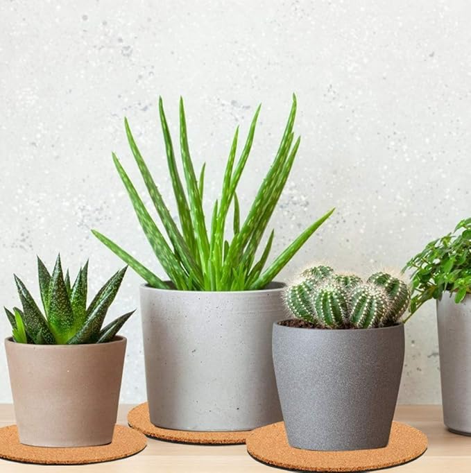 Venyat 6 Pieces Cork Plant Coasters, 6 Inch Cork Plant Mats, Cork Coaster for Planters, Plant Coasters for House Plants Indoors (Nude & Black)