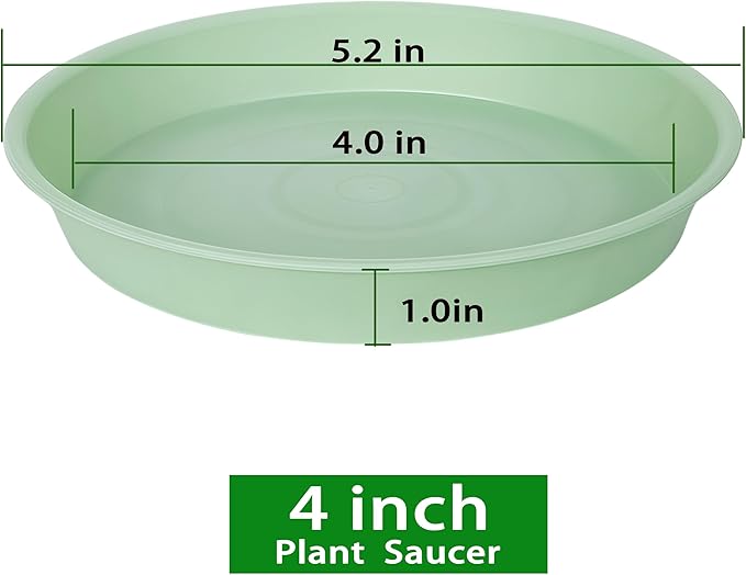 Bleuhome 6 Pack Plastic Plant Saucer Water Drip Tray, 4 5 6 7 8 9 10 11 12 13 15 17 19 inch, Heavy Sturdy Plant Drainage Tray for Indoors Outdoor, Saucers for Pots Base (4", Light Green)