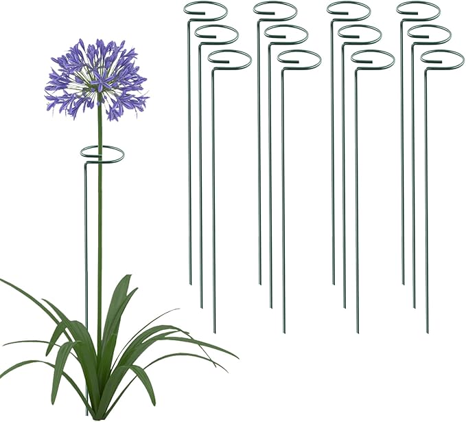 12 Pack 16 Inch Plant Support Stakes, Metal Single Stemmed Flower Support Hoops, Garden Plant Stakes Plant Props for Amaryllis, Orchid, Lily, Rose, Peony, Tomatoes, Gladiolus