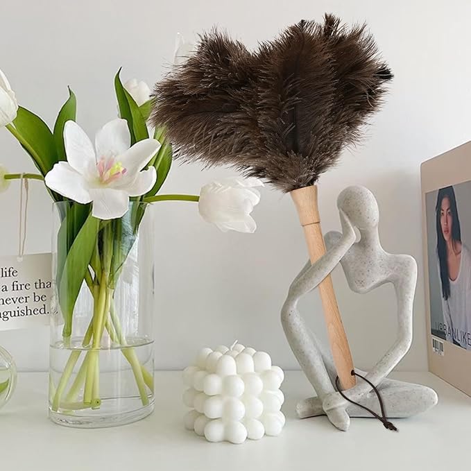 Daieeparty Ostrich Duster Fluffy Natural Feather Dusters with Wooden Handle Cleaning Supplies for Home Office Car (1, 16inch)