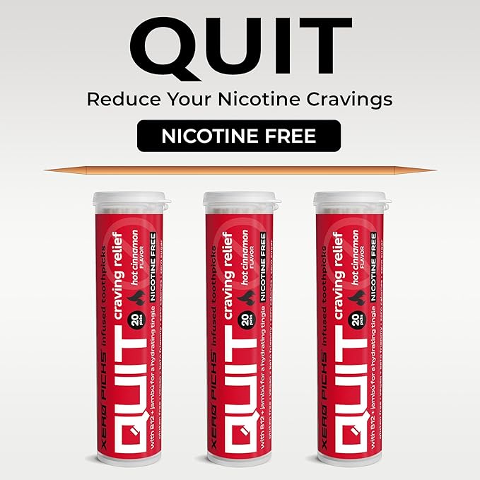 Xero Picks Infused Flavored Toothpicks to Help Quit Smoking - Nicotine Free - 60 Picks (3 Packs) (Hot Cinnamon) Non-GMO Kosher Vegan