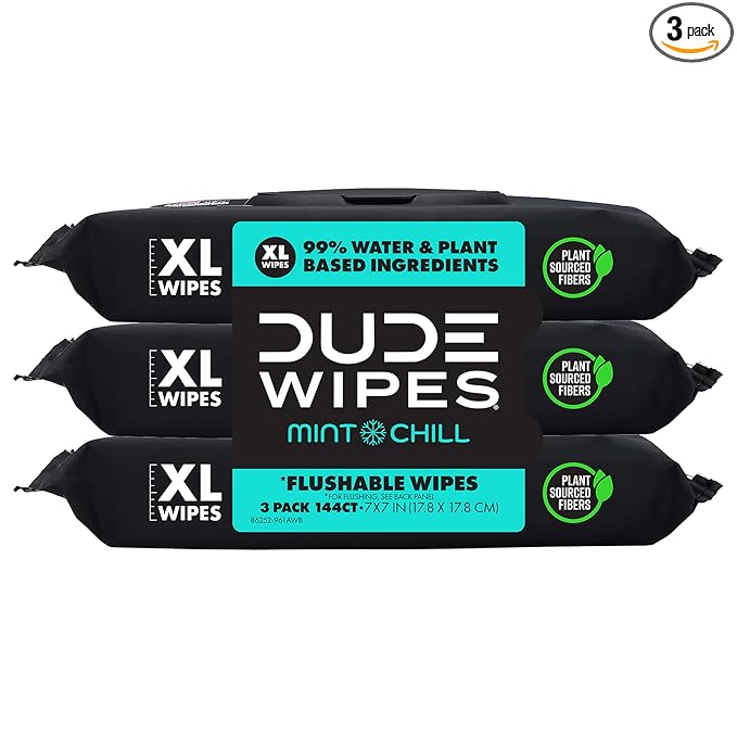 Dude Wipes, Mint Chill Flushable Wipes - Extra-Large Adult Wet Wipes - - Infused with Tea Tree Oil, Vitamin E, and Aloe - Septic and Sewer Safe, 144 Count