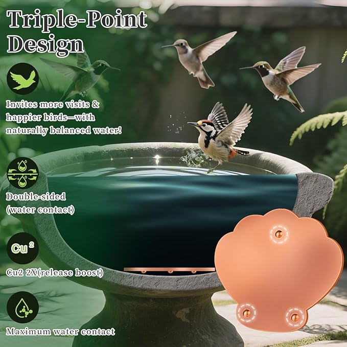 Bird Bath Copper Disk, 1pcs Shell Shaped 99.99% Pure Copper Cleaning Disc Plate for Physical Safe Water Purification All-Season for Outdoor Wildlife Bird Bowls Birdbaths Solar