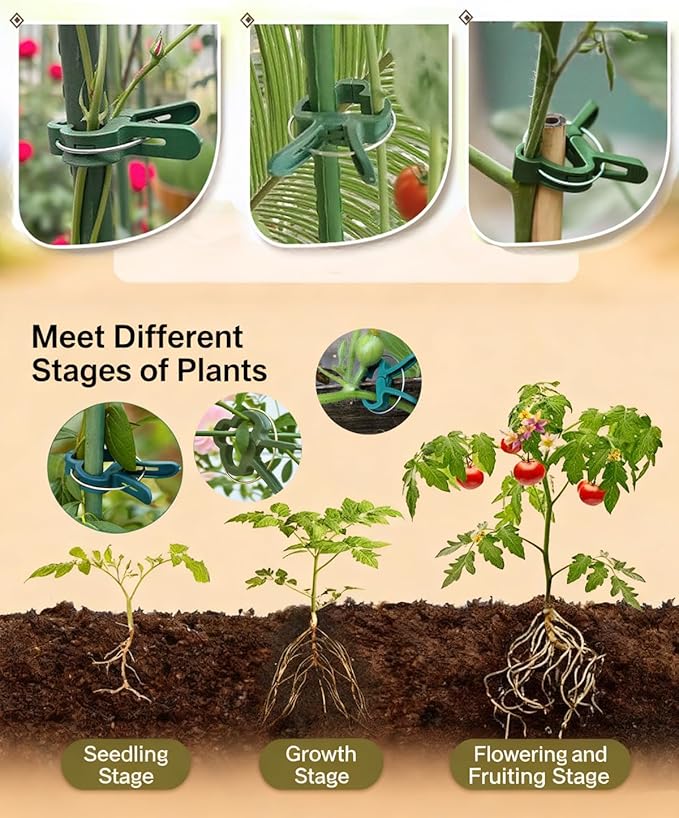 2026 New Plant Clips for Climbing plants Grape and Tomato Vine, Vegetables Plants, Garden Clips to Grow Upright Makes Plants Healthier Vine Clips for Supporting Stems of Flower 10pcs Christmas Gifts