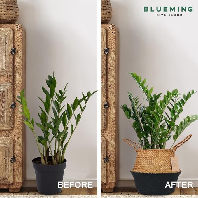 Blueming Home Wicker Plant Basket – Medium Seagrass Planter Pot for Faux Olive Trees or Houseplants, Decorative Woven Black Bottom Wicker Planter for Living Room, Shelf, or Entryway