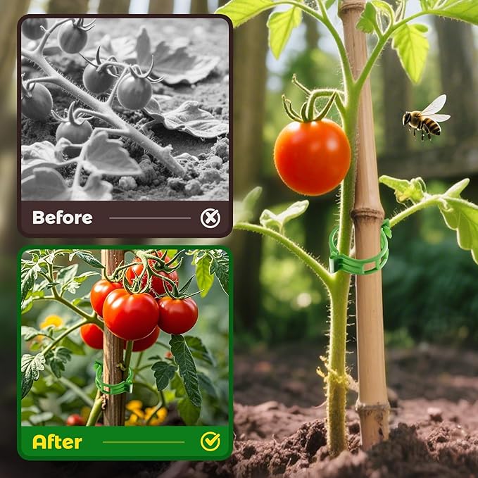 100pcs Secured Plant Clips,Plastic Trellis Garden Support Clips for Climbing, Outdoor Clips for Support Grape Tomato Vine Vegetables Plants,Reusable Clips to Grow Upright Makes Plants Healthier