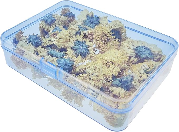 LJY 12 Pieces Rectangular Empty Mini Clear Plastic Organizer Storage Box Containers with Hinged Lids (4.5 x 3.3 x 1.1 inch, Blue)