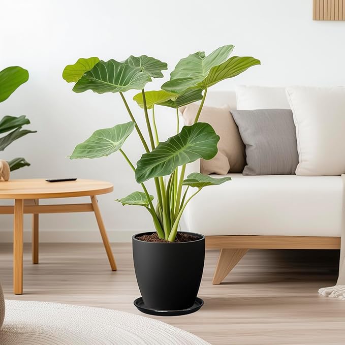 EPFamily Plant Tray for Pots 10 Inch - Ceramic Plant Saucer for Indoors, Plant Drip Tray, Plant Plates to Catch Water, Flower Pot Saucer, Decorative Plant Drainage Tray, Black