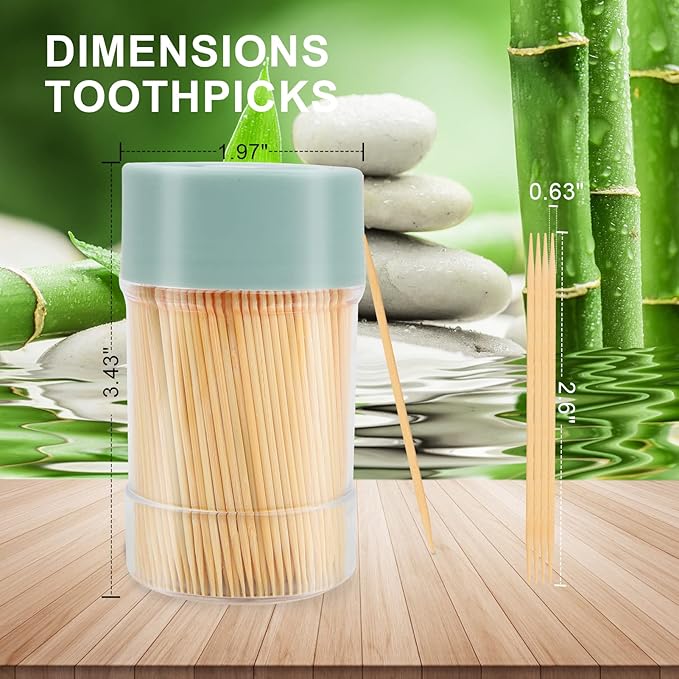 Bamboo Toothpicks [3000 Count] - With Reusable Toothpick Holder, Sturdy Smooth Finish Tooth Picks, for Party, Appetizer, Olive, Barbecue, Fruit and Teeth Cleaning, Green.